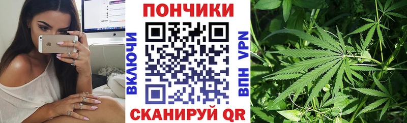 Конопля гибрид  Кодинск 
